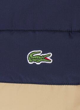 Weste Lacoste Gepolstert Zweifarbig für Herren