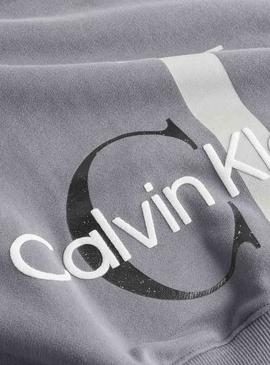 Sweatshirt Calvin Klein Two One Monogram Grau Damen