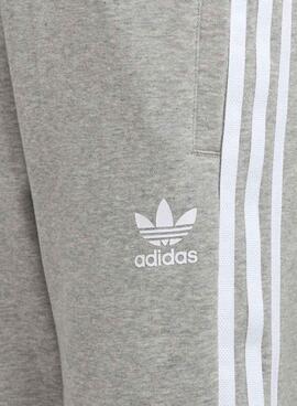 Bermuda Adidas Adicolor Grau Für Junge