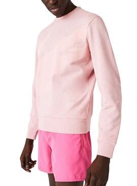 Sweatshirt Lacoste Croco Oversize Rosa Herren