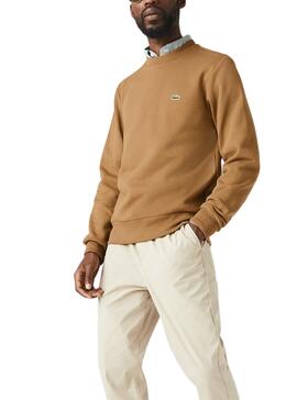 Sweatshirt Lacoste Basica Camel für Herren
