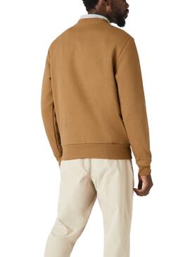 Sweatshirt Lacoste Basica Camel für Herren