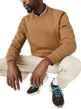 Sweatshirt Lacoste Basica Camel für Herren