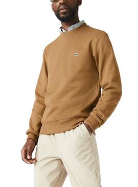 Sweatshirt Lacoste Basica Camel für Herren
