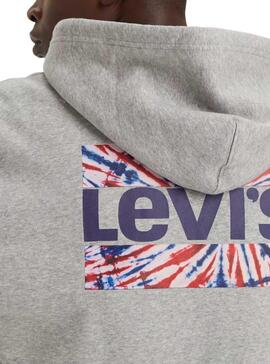 Sweatshirt Levis Graphic Zip Tie Dye Grau für Herren