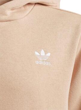 Sweatshirt Adidas Hoodie Adicolor Beige