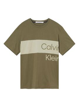 T-Shirt Calvin Klein Institutional Grün Herren