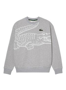 Sweatshirt Lacoste Crocodile Grau für Herren