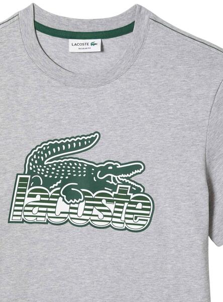 Lacoste th6386 sales