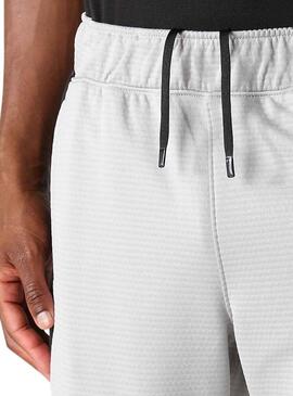 Hose The North Face Sport Grau für Herren