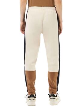 Hose Lacoste Jogger Trainingsanzug Beige für Herren