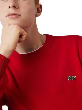 Pullover Lacoste Tricot Rot für Herren