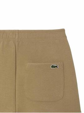 Hose Lacoste Sport Jogger Braun Damen