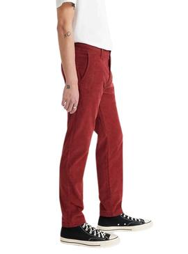 Hose Chino Levis Standard Rot für Herren