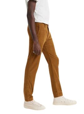 Hose Chino Levis Cordstoff Camel für Herren