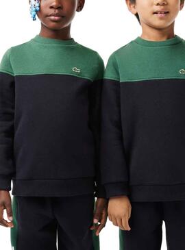 Sweatshirt Lacoste Farbe Block Grün für Junge Mädchen