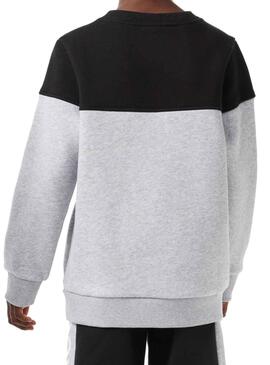 Sweatshirt Lacoste Farbe Block Grau für Mädchen Junge