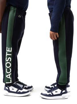 Hose Lacoste Trainingsanzug Marineblau Junge Mädchen