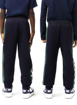 Hose Lacoste Trainingsanzug Marineblau Junge Mädchen