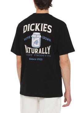 T-Shirt Dickies Elliston Schwarz für Männer