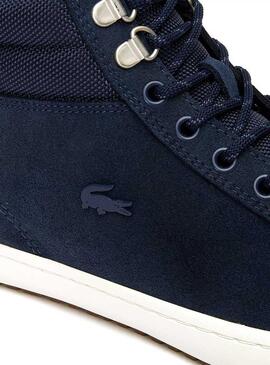 Lacoste insulac clearance