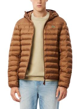 Gepolsterte Camel-Lacoste-Jacke für herren