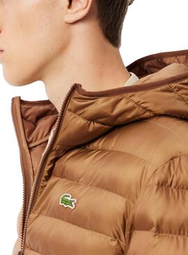 Gepolsterte Camel-Lacoste-Jacke für herren