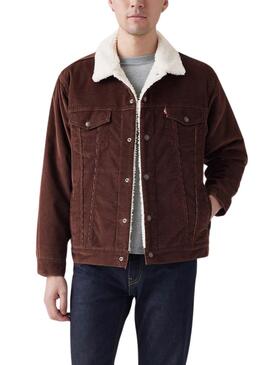 Truckerjacke Levis Sherpa Kord Braun für Männer