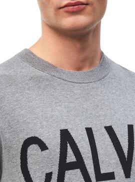 Pullover Calvin Klein Logo Grau Für Herren