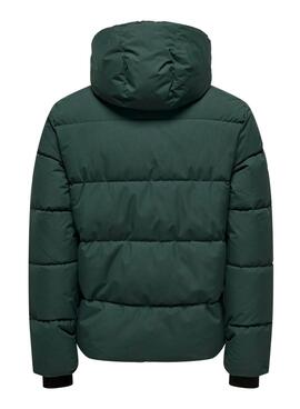 Jacke Only and Sons Selijah in Grün für Herren