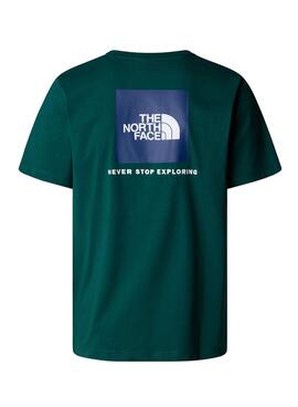 T-Shirt The North Face NSE Box grün für Herren.