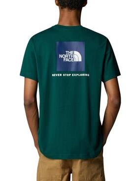 T-Shirt The North Face NSE Box grün für Herren.
