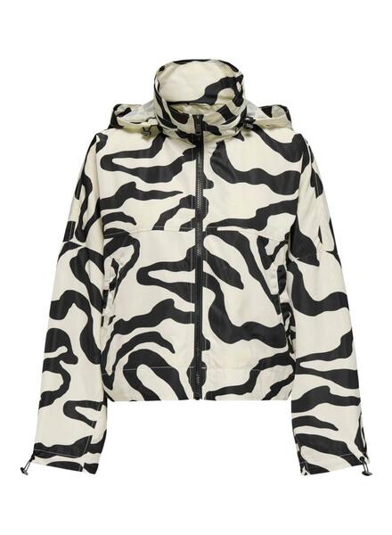 Gallery m169764 ybzsr4sc