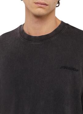 T-Shirt Dickies Plentywood Schwarz für Herren