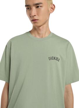 T-Shirt Dickies Snake grün für Herren