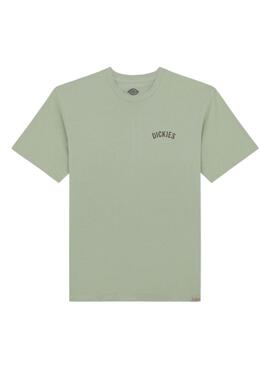 T-Shirt Dickies Snake grün für Herren