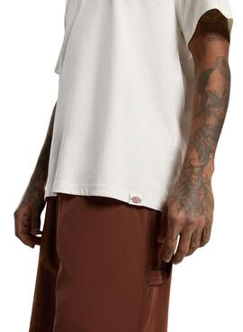 T-shirt Dickies Outdoor beige für Herren.