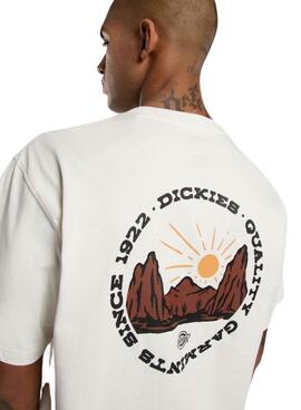 T-shirt Dickies Outdoor beige für Herren.