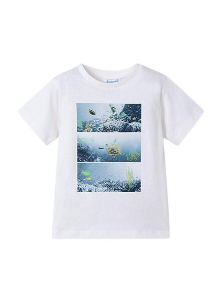 Gallery k035085 3