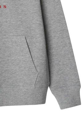 Kapuzenpullover Pepe Jeans Art Hoodie grau für Jungen