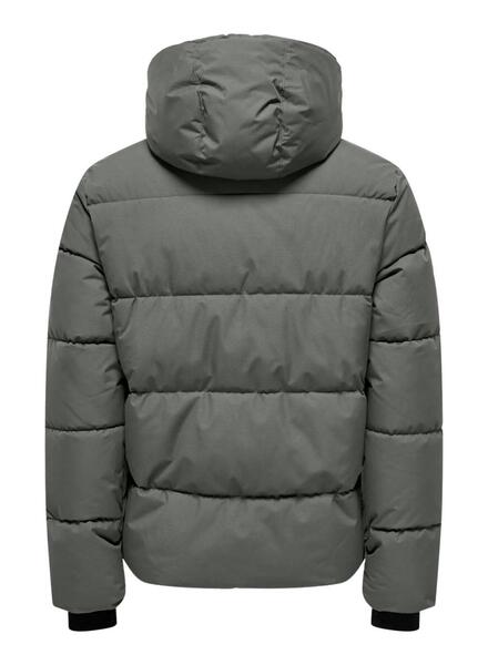 Gallery m175891 ji0dr6ro