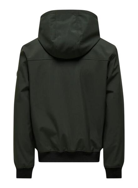 Gallery m174110 t66o3qzy