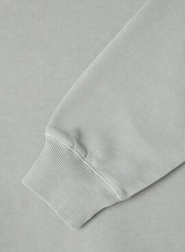 Sweatshirt Pepe Jeans Felder grau für Jungen