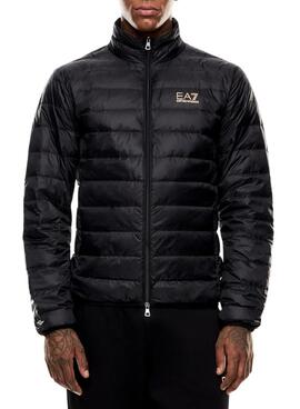 Thumb m176147 fogtwnwh