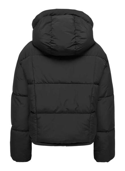 Gallery m177074 uc0hex3d