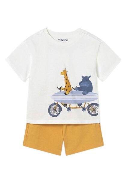 Gallery k178154 tzpjj4j4