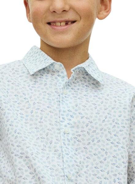 Gallery k178114 lgufvvbu