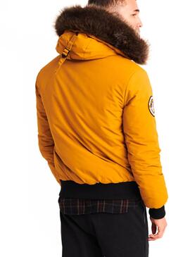 Jacke Superdry Everest Bomber Gelb Herren