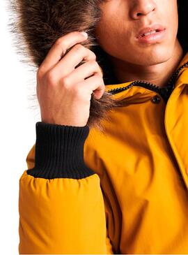 Jacke Superdry Everest Bomber Gelb Herren