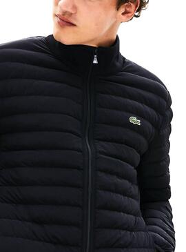 Jacke Lacoste gepolstert schwarz Herren